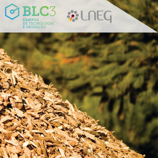 LNEG apoia projeto de biocombustíveis de terceira geração